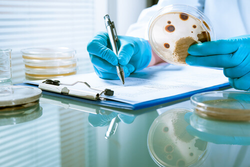 Laboratory equipment background